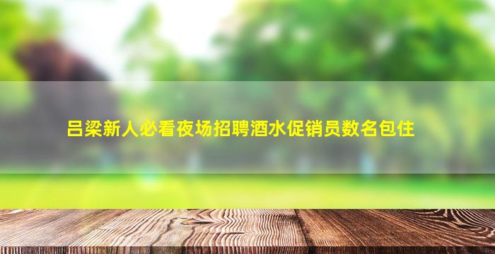 吕梁新人必看夜场招聘酒水促销员数名包住